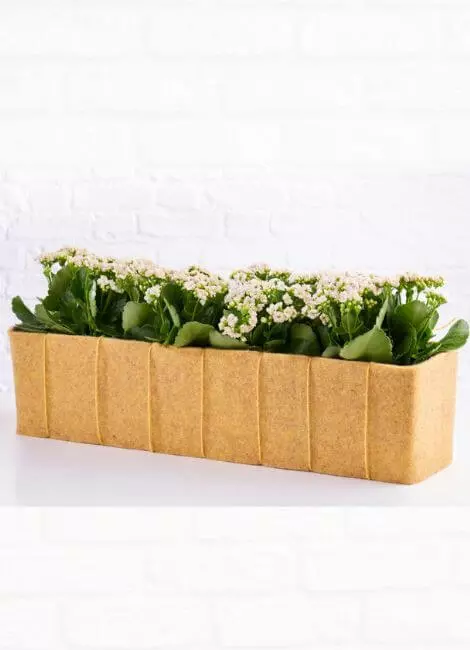 gras blumenkasten Pflanzkasten mageschneidert mit Boden  Individuell vom Hersteller  Der  Stahlgarten