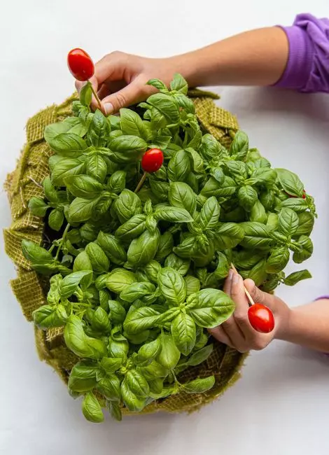 Herb basket design Step 4