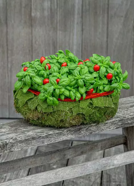 Herb basket design Step 6