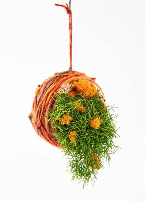 Autumn ideas for shop windows, salesrooms and more 11