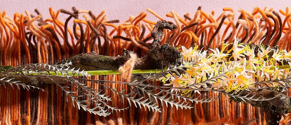 Autumnal wall hanging header