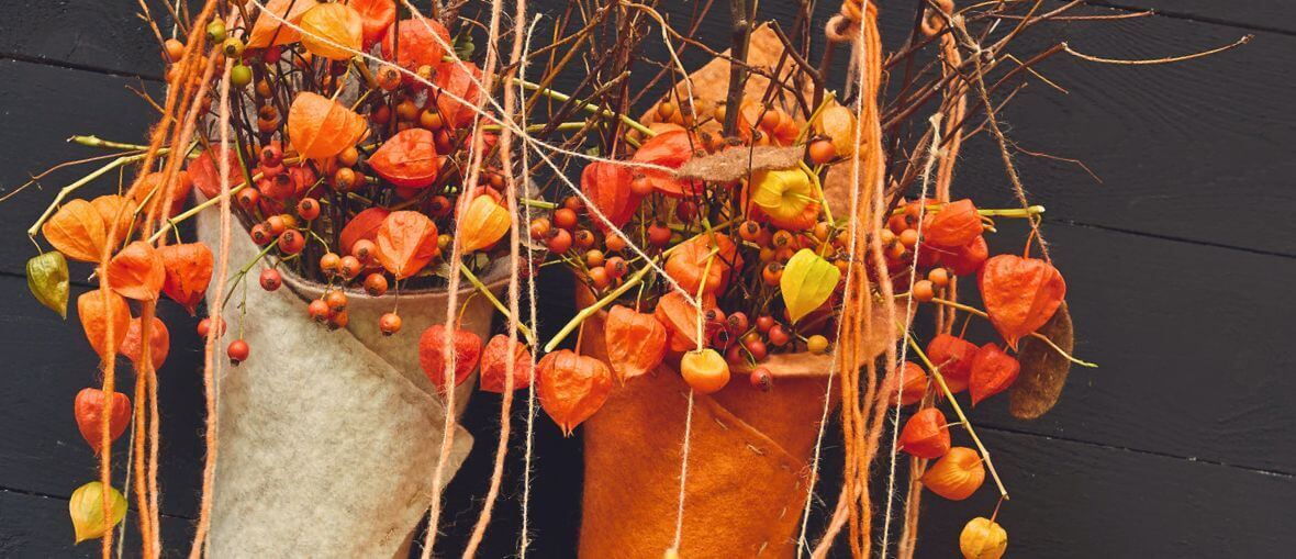 Header Herbst eingetütet