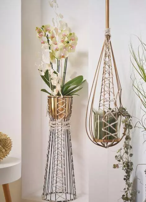 03-orchid-in-timeless-refinement
