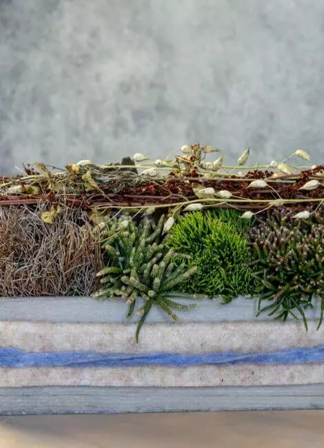 Table decoration forest secret