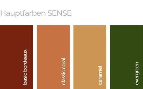 main colours sense