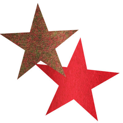 Woolly star Klausi moss-red